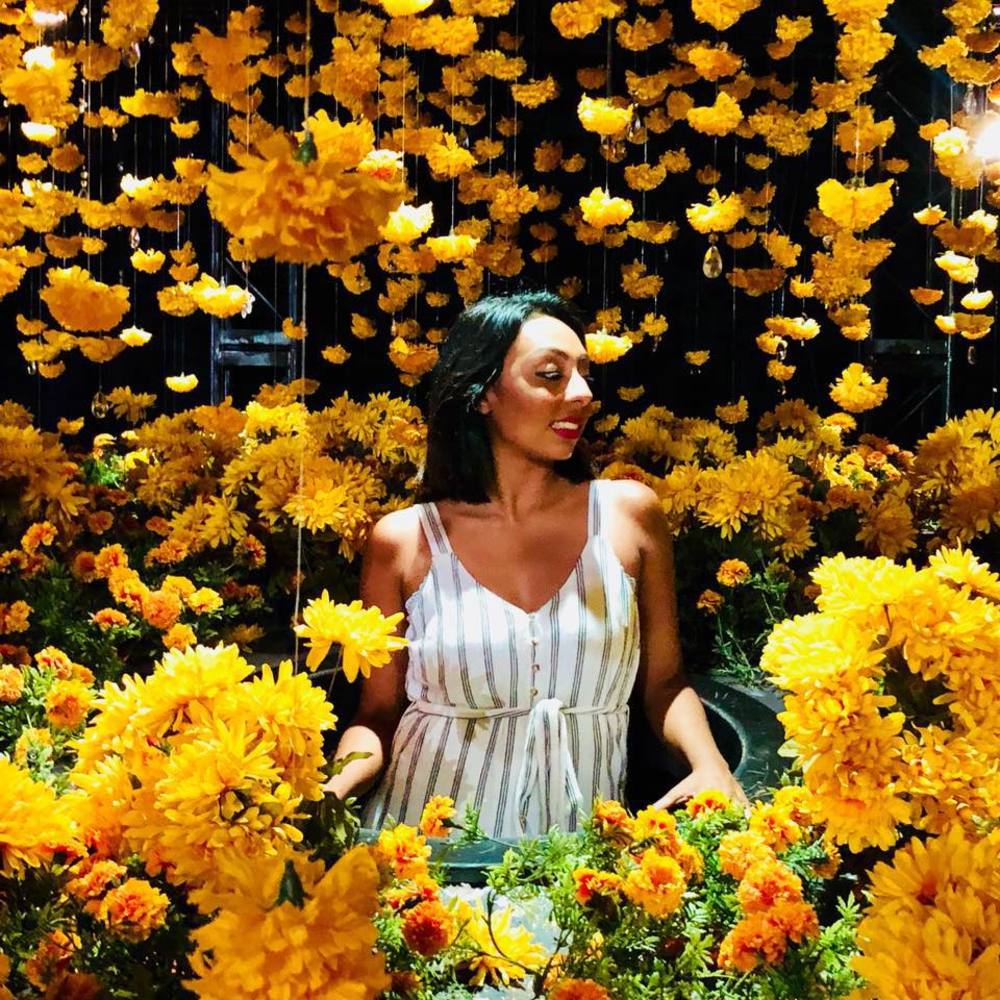 Meet your Posher, Yvette